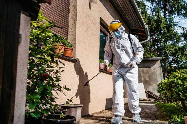 Best Affordable Pest Control Services  in Mabton, WA