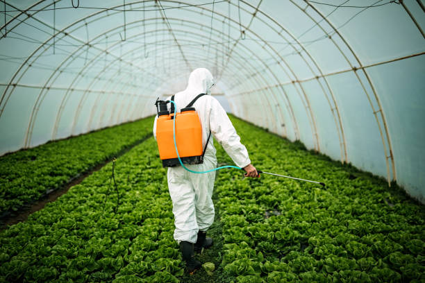 Best Pest Control Near Me  in Mabton, WA
