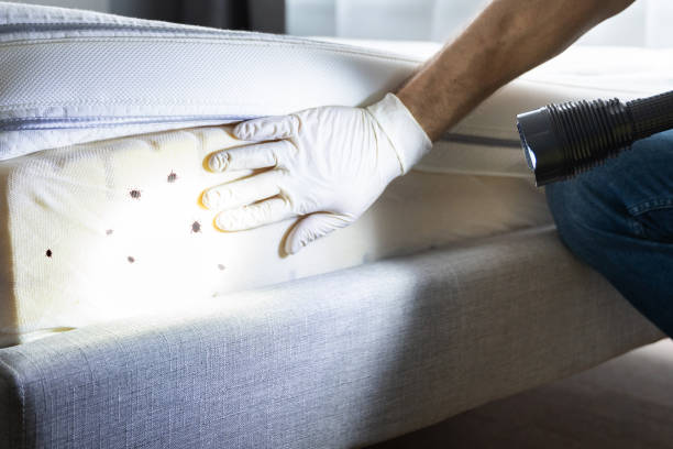 Best Best Pest Control Companies  in Mabton, WA